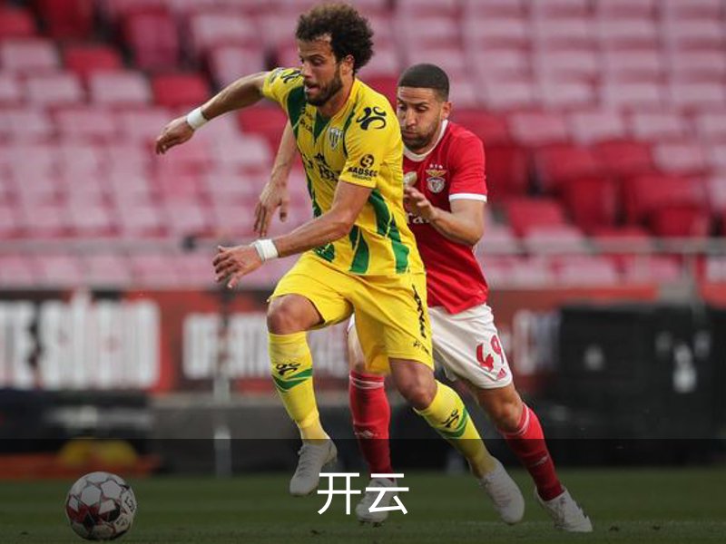 开云简介